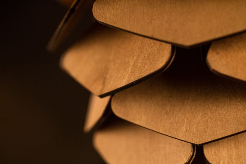 Nyitott toboz lámpa Nyitott toboz lámpa